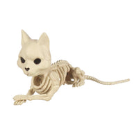 Seasons 5 in. Skeleton Cat Halloween Decor - Open Box