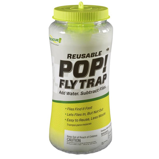 Rescue Pftr-Bb8 Pop! Reusable Fly Trap  (Pack Of 4)
