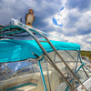 Bird-B-Gone Bird Deterrent Decoy 17 H in. for Red Tailed Hawks