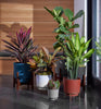 Bloem Hopson 8 in. H X 6 in. W X 6 in. D Metal/Plastic Planter with Stand Casper White - Deal of The Week