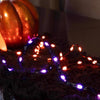 Celebrations Orange/Purple 100 ct LED Ribbon Lights