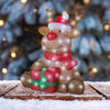 YRD DCR REINDEER LED 18"