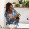 Bloem Ariana 5.25 in. H X 6.5 in. W X 6 in. D Plastic Traditional Planter Living Green