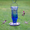 Perky-Pet Hummingbird 16 oz. Glass Nectar Feeder 4 ports (Pack of 2)