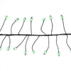 Celebrations LED Big Seed Cluster Green 250 ct String Christmas Lights 10 ft.