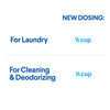 CLOROX SPASHLESS 40OZ (Pack of 6)