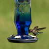Perky-Pet Hummingbird 16 oz. Glass Nectar Feeder 4 ports (Pack of 2)