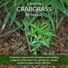 GreenView Fairway Formula Weed & Crabgrass Lawn Fertilizer For All Grasses 4000 sq ft