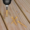 Deck Plus No. 10  x 3 in. L Star Flat Head Exterior Deck Screws 800 pk