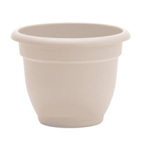 Bloem Ariana 13.75 in. H X 17.75 in. W X 16 in. D Plastic Traditional Planter Cream