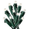 Celebrations LED Micro/5mm Warm White 100 ct String Christmas Lights 24.5 ft. (Pack of 12)