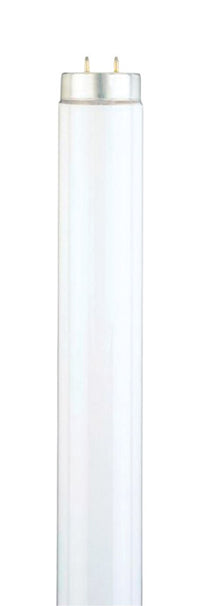 Westinghouse  40 watt T12  48 in. L Fluorescent Bulb  Cool White  Linear  4100 K 2 pk