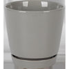 Border Concepts 6 in. D Ceramic Flair Saucer Planter Grey (Pack of 6)