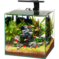 Aqueon Framless Cube Aquarium