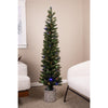 Celebrations 5 ft. Slim LED 100 ct Diamond Potted Color Changing Entrance Tree