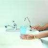 Watts One Handle Chrome Drinking Water Faucet