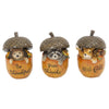 Gerson 5 in. Harvest Forest Critters in Acorns Fall Decor (Pack of 12)