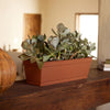 Bloem Dura Cotta 5.75 in. H X 24 in. W X 7.5 in. D Plastic Window Box Terra Cotta