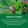 Natria Iron Phosphate Slug and Snail Bait 1.5 lb.