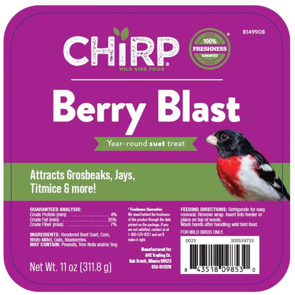 Chirp Berry Blast Suet Berry Suet 11 oz (Pack of 12)