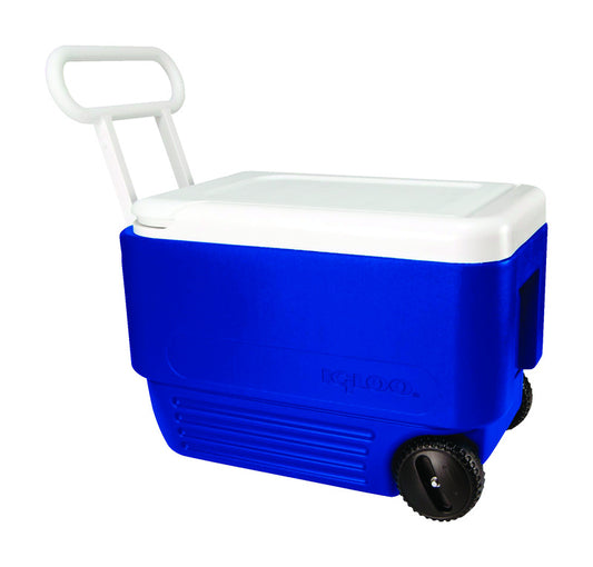Igloo Wheelie Cool Blue Plastic 38 qt. Capacity Cooler 15.74 H x 12.88 W x 22.75 D in.