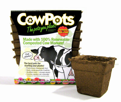 CowPots 3.75 in. H X 4 in. W X 2.5 in. L Plant Pot Seed Starter 12 pk (Pack of 12)
