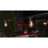Belle Luci LED Rechargeable Battery Light Set Warm White 18 ft. 10 lights