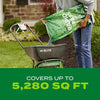 Scotts Turf Builder Rapid Grass Tall Fescue Grass Sun or Shade Grass Seed and Fertilizer 16 lb