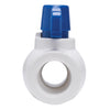 Homewerks 2 in. PVC FIP Ball Valve Full Port Quarter-Turn Lever For Non-Potable Water