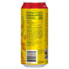 Yerba Madre Berry Beverage 16 oz 1 pk (Pack of 12)