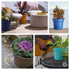 Bloem Saturn 6.5 in. H X 7.25 in. W Plastic Traditional Planter Black - Deal of The Week