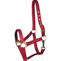 Gatsby Ultra Soft Nylon Safety Halter