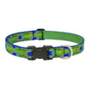 Lupine Pet Original Designs Multicolor Tail Feathers Nylon Dog Adjustable Collar
