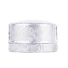 STZ Industries 2 in. FIP each Galvanized Malleable Iron Cap