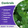 Bonide Weed Beater Plus Weed and Crabgrass Killer RTS Hose-End Concentrate 32 oz
