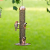 Perky-Pet Wild Bird and Finch 1.8 lb Copper 2-in-1 Bird Feeder 4 ports (Pack of 2)