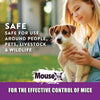 MouseX Non-Toxic Bait Pellet Throw Pack for Mice 12 oz.