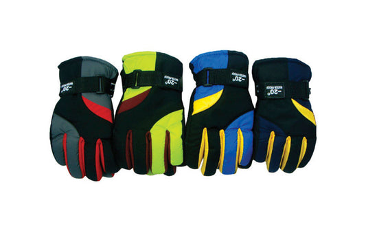 Diamond Visions Assorted Polyester Assorted Ski Gloves (Pack of 24)