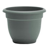 Bloem Ariana 5.25 in. H X 6.5 in. W X 6 in. D Plastic Traditional Planter Living Green
