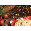 Celebrations Classic LED T5 Warm White 100 ct String Christmas Lights 24.75 ft. (Pack of 12)