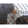 Big H Products Spider Trap 3.2 oz. (Pack of 12)