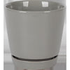 Border Concepts 6 in. D Ceramic Flair Saucer Planter Grey (Pack of 6)