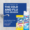 Lysol Professional Original Scent Disinfectant Spray 19 oz 1 pk