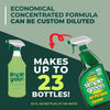 Simple Green Sassafras Scent Concentrated All Purpose Cleaner Liquid 24 oz (Pack of 6)