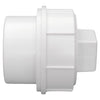 Charlotte Pipe Schedule 30 3 in. PVC Clean-Out Plug 1 pk