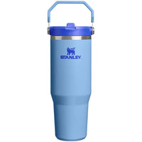 Stanley Iceflow 30 oz Blue Sky BPA Free Insulated Straw Tumbler (Pack of 4)