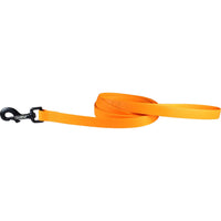 Carnival Biothane Dog Lead