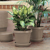 Bloem Terrapot Pebble Stone Resin UV-Resistant Tapered Traditional Planter 7 H in.