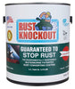 Rust Knockout No Indoor and Outdoor Matte Red Water-Based Rust Prevention Paint 1 gal (Pack of 2)