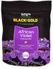 Black Gold Organic African Violet Potting Mix 8 qt (Pack of 8).